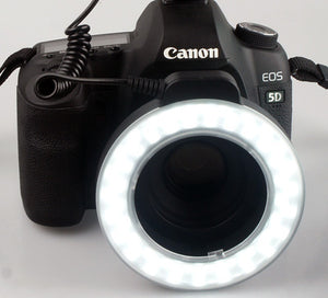 eb6b3012cc29caab898f4f2e5678ff06
