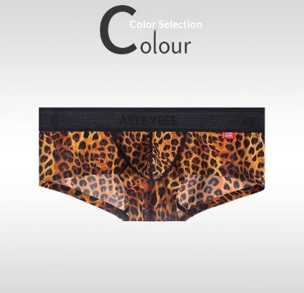 ae10ca86400a57ebcf46de67a8f8e19c